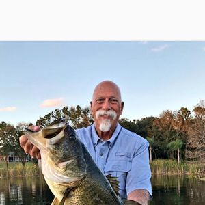 Meet your Posher, Samuel